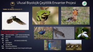 154 endemik bitki ve hayvan türü tespit edildi