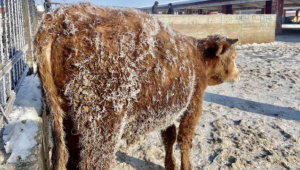 Ağrı eksi 33 derece ile zirveye yerleşti