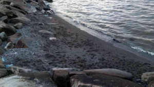 Deniz çekilmesi, ardından deprem