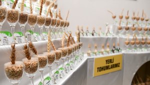 ETÜ ile Doğu Anadolu Tarımsal Araştırmalar Enstitüsü arasında iş birliği köprüsü kuruldu