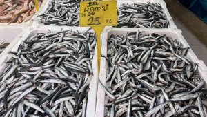 Hamsi 25 TL'ye düştü