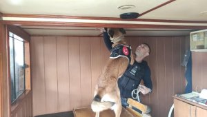  "Huzurlu Sokaklar ve Narkotik Suçları" uygulaması