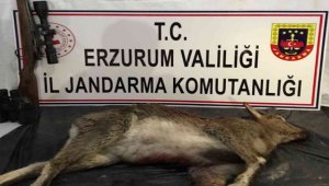 Kaçak avcılar jandarmadan kaçamadı