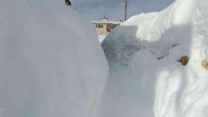 Kar Taşlıçayır'da görsel şölen oluşturdu