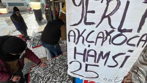 Kar yağdı, hamsi Karadeniz'e geri döndü