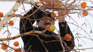 Osmanlının ince geleneği burada yaşatılıyor