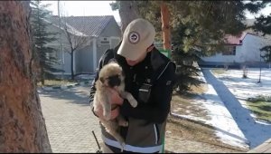 Polis ekipleri yaban hayvanlarını unutmadı