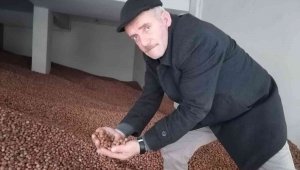 Serbest piyasada fındık fiyatı 35 lira