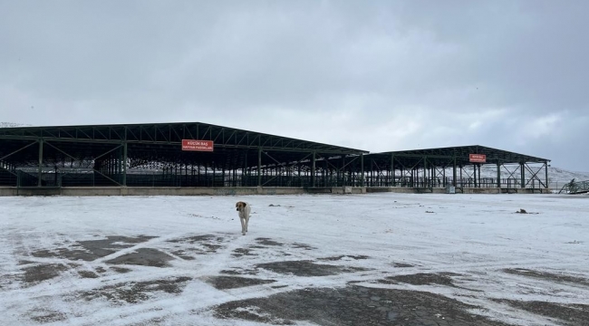 Şiddetli kar hayvan pazarını boş bıraktı