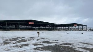 Şiddetli kar hayvan pazarını boş bıraktı