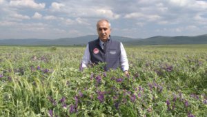 Tarımsal desteklemelerde rekor