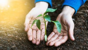 'Uzman Eller Projesi' başvuruları başladı