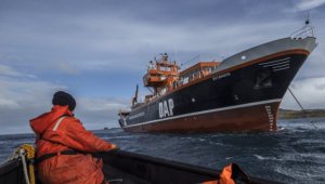 Atatürk Üniversitesi'den de 2 akademisyen var