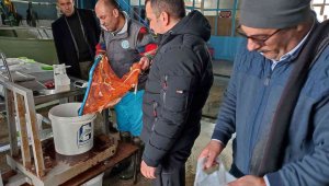Atatürk Üniversitesi'nde yavru balık üretimi