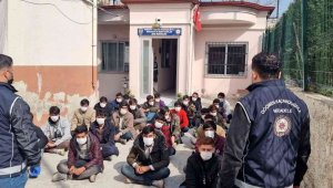 "Banker Bilo" filmi gerçek oldu