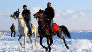 Cirit atlarının kar üstünde dansı