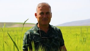 Polatlı'dan dünyaya yayılan şifa: Kuru soğan