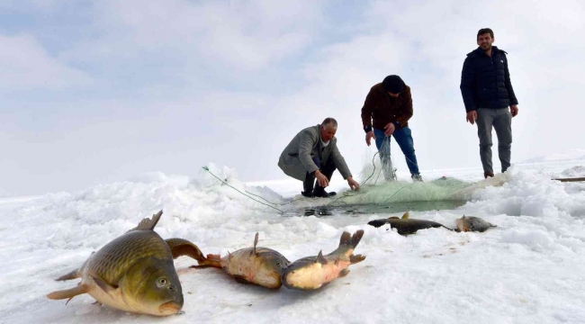 Erzincan'da nisandan haziran ayının sonuna kadar sazan avı yasaklandı