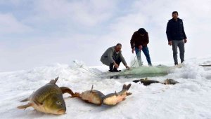 Erzincan'da nisandan haziran ayının sonuna kadar sazan avı yasaklandı