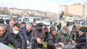 Fidan dağıtımında izdiham yaşandı