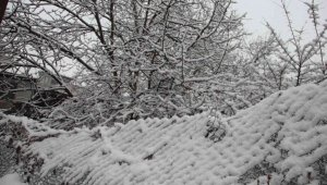 Oltu'da martta yağan kar besicileri zorluyor