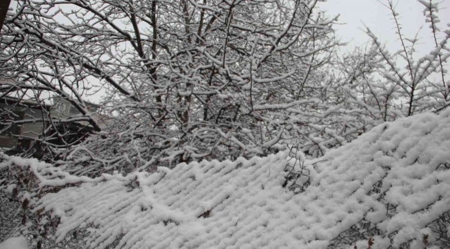 Oltu'da martta yağan kar besicileri zorluyor