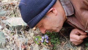 Olur'un köylerinde baharın habercisi çiçekler açtı
