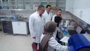 Patatesin parmak izi çıkarılıyor