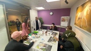 Doğru beslen kanseri yen