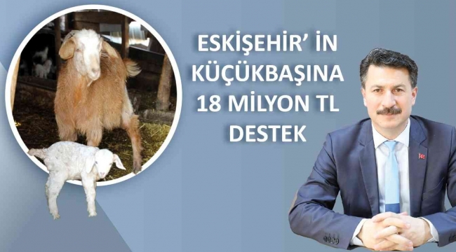 Küçükbaş hayvancılığa 18 milyon lira destek