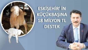 Küçükbaş hayvancılığa 18 milyon lira destek