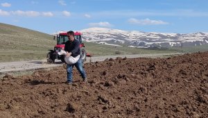 Tohum toprak buluşması