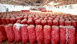 Üreticilerin elinde kalan soğanlar depolarda çürüyor