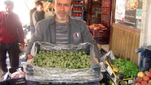 Yılın ilk yerli badem çağlası 25 liradan satışa sunuldu