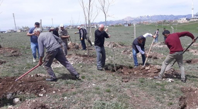 Aşkale'de 3 bin fidan toprakla buluştu