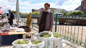 Çaşır'ın kilosu 40 liradan satılıyor