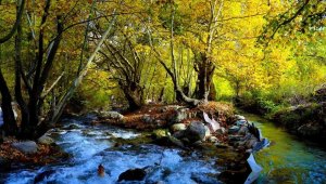 Doğu Anadolu'da en yüksek sıcaklık Kemaliye'de en düşük sıcaklık Erzurum Doğu Anadolu Gözlemevi'nde ölçüldü