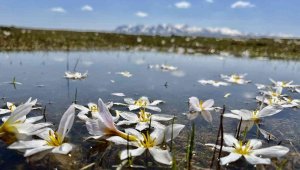 Doğu'da hava soğuyacak