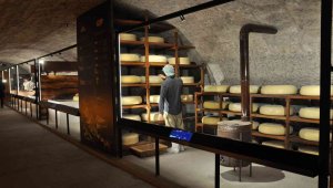 Kars'ta Türkiye'nin ilk Peynir Müzesi 