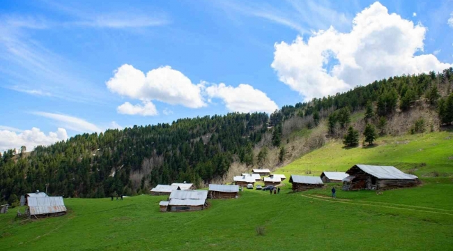 Kilometrelerce yürüdüler, tırmandılar ve doğal güzelliği fotoğrafladılar