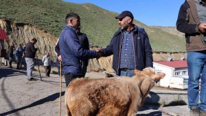 Oltu hayvan pazarında satışlar devam ediyor