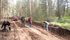 Şenkaya ve Oltu'da orman yolları onarılıyor