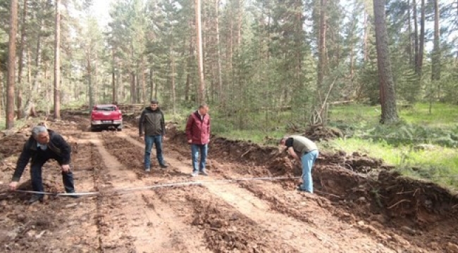 Şenkaya ve Oltu'da orman yolları onarılıyor