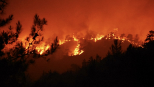 4 bin 500 hektar küle döndü