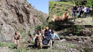 Beyaz ayı çobana saldırdı