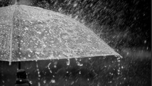 Doğu Anadolu'da kuvvetli yağış bekleniyor