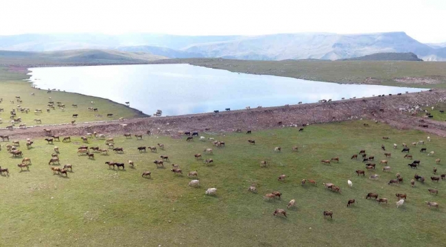 Erzurum gölet yapımında Türkiye rekorunda