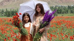 Gelincik ve mor çiçek tarlaları görenleri adeta büyülüyor