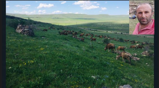 Tortum Kapıkaya'nın "Kirli Su" isyanı 