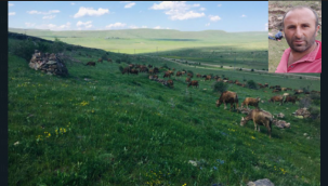 Tortum Kapıkaya'nın "Kirli Su" isyanı 